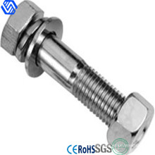 Stainless Steel Hexagon Head Structure Bolts